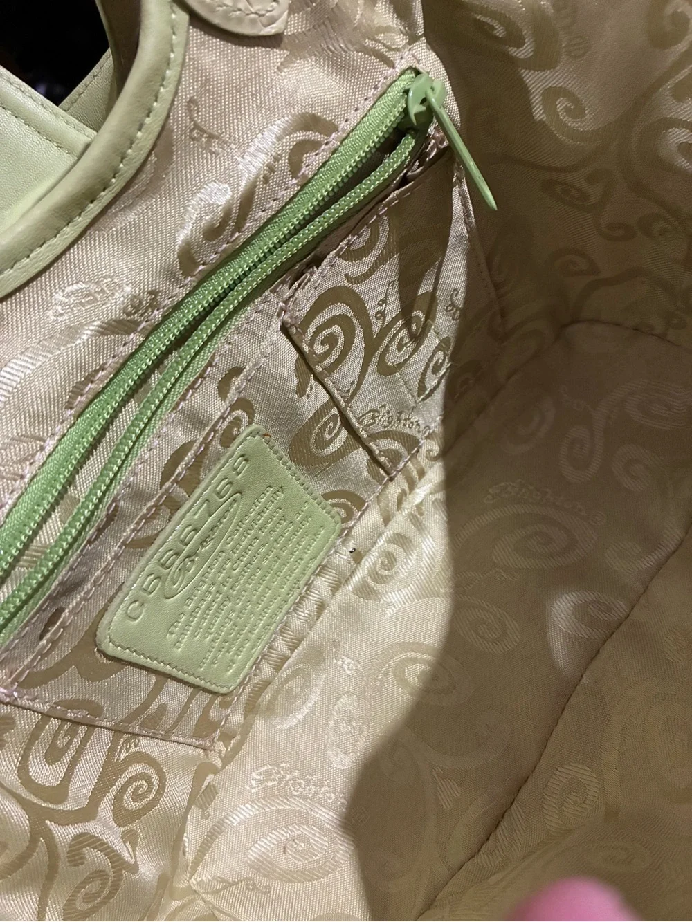 Brighton coach shoulder